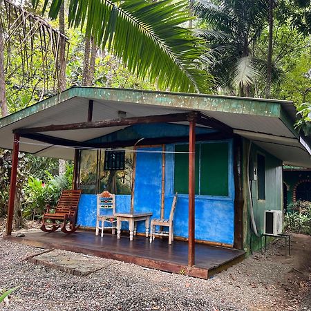 Chosa Manglar Suites & Cabins Puerto Jiménez Eksteriør billede