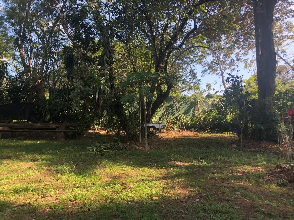 Chosa Manglar Suites & Cabins Puerto Jiménez Eksteriør billede