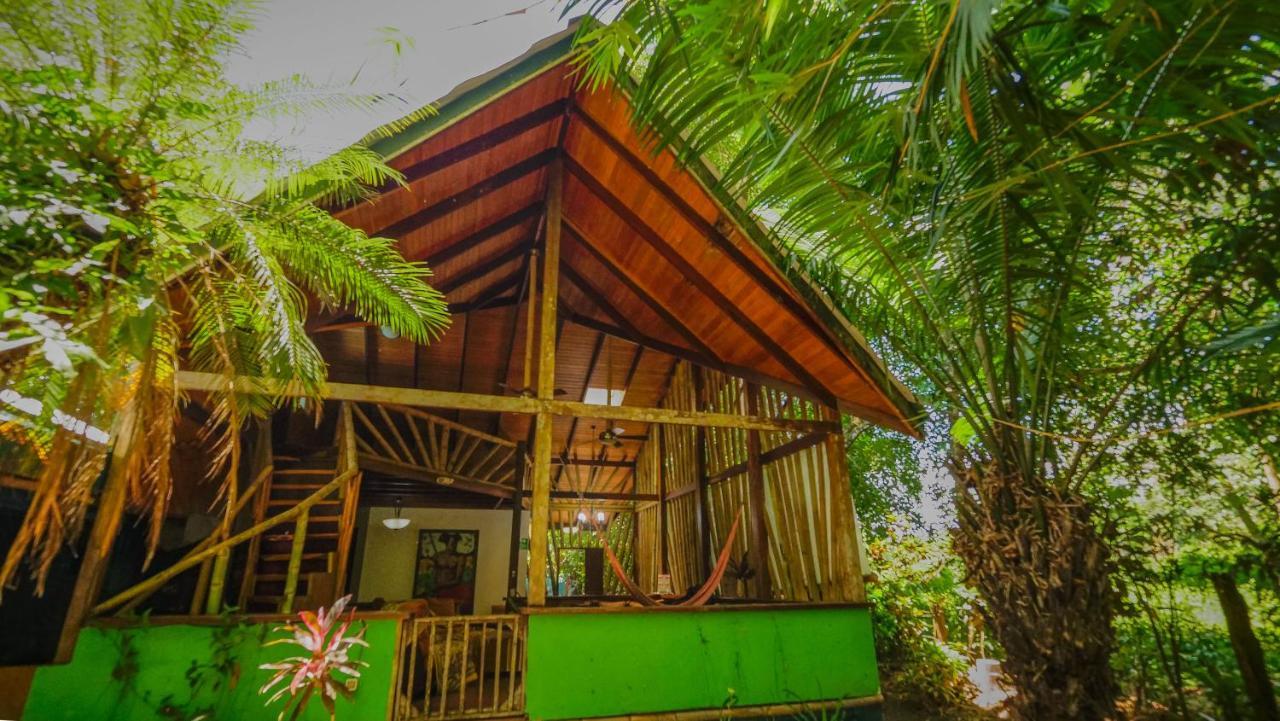 Chosa Manglar Suites & Cabins Puerto Jiménez Eksteriør billede