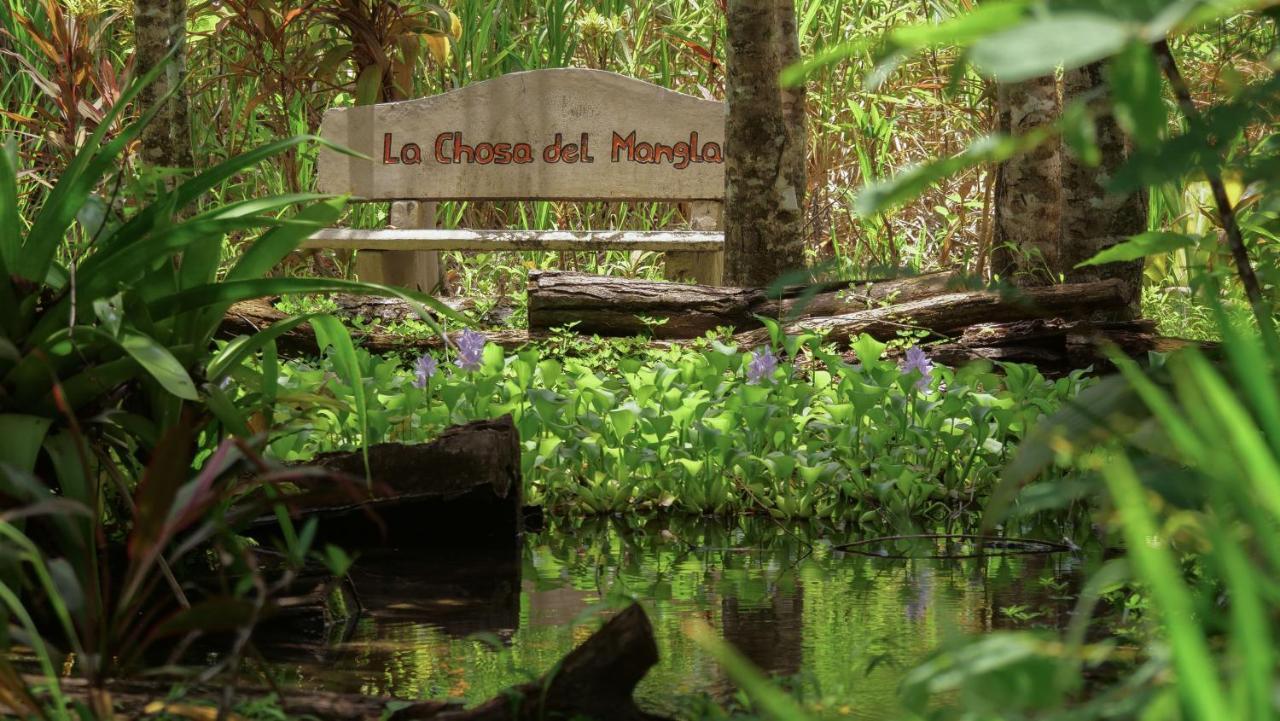 Chosa Manglar Suites & Cabins Puerto Jiménez Eksteriør billede
