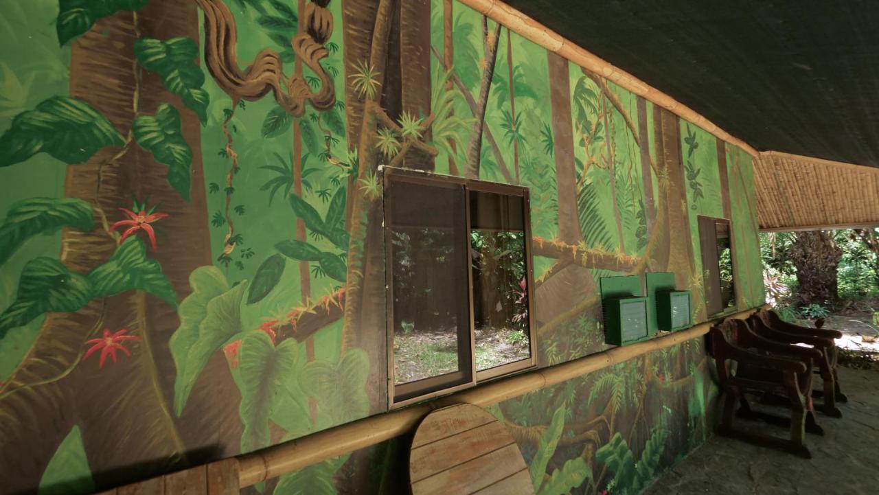 Chosa Manglar Suites & Cabins Puerto Jiménez Eksteriør billede