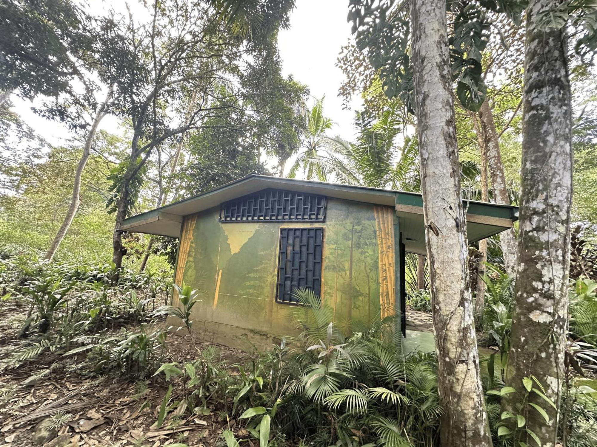 Chosa Manglar Suites & Cabins Puerto Jiménez Eksteriør billede