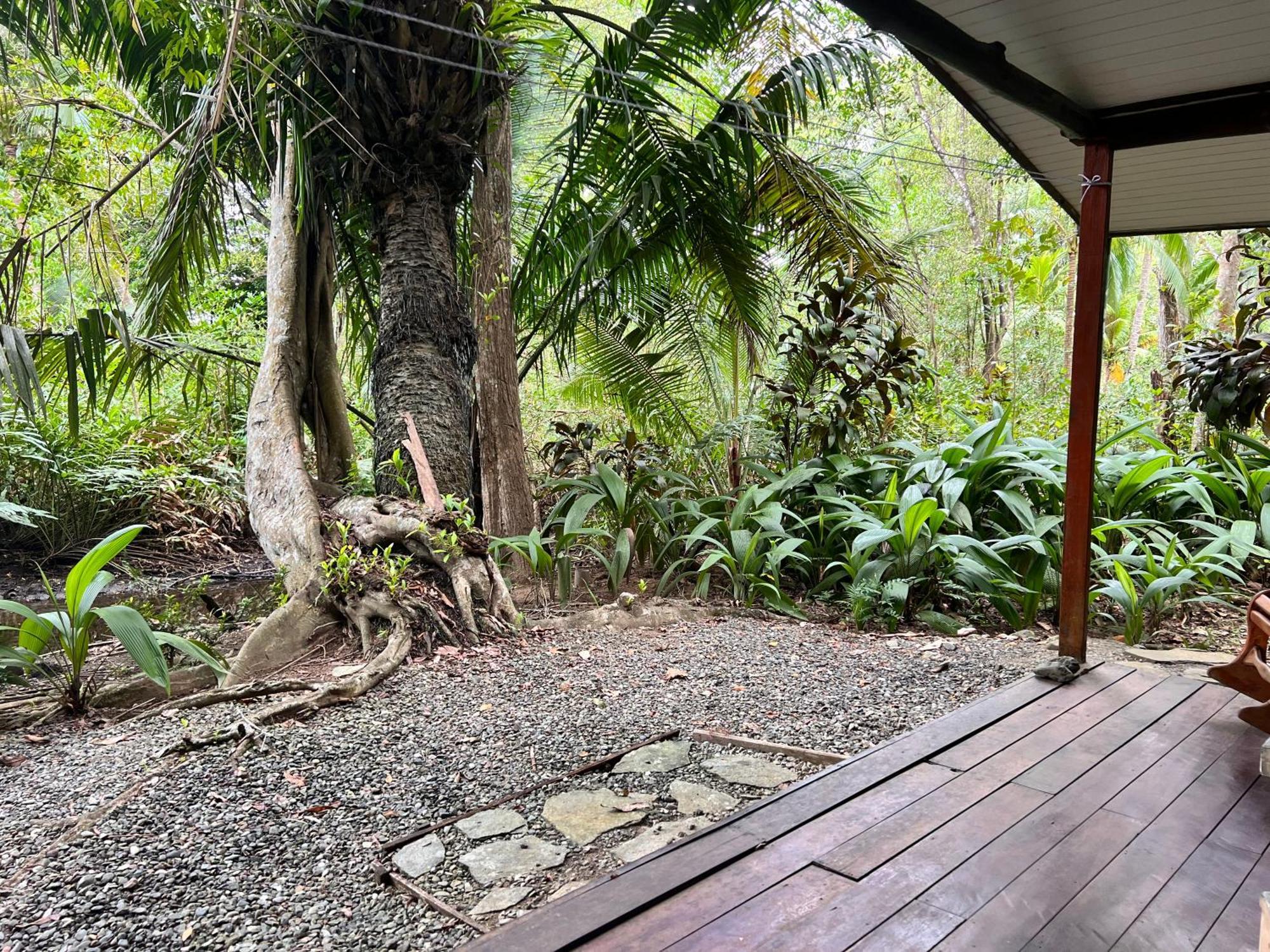 Chosa Manglar Suites & Cabins Puerto Jiménez Eksteriør billede